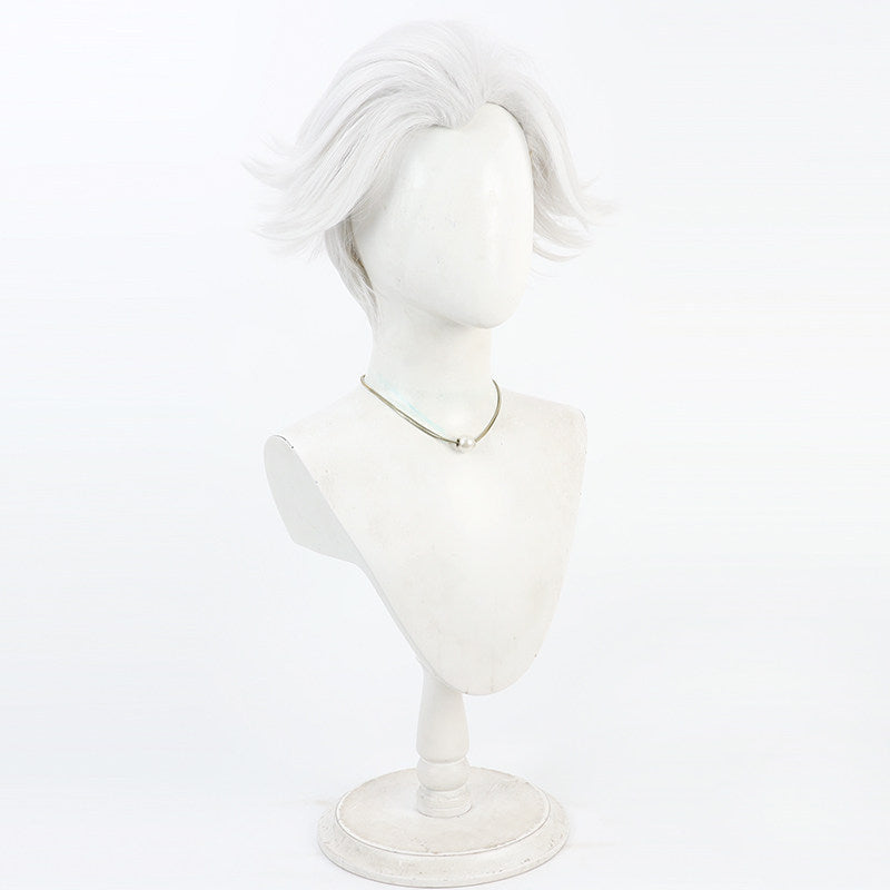 Nice Cosplay Wigs Anime To Be Hero X Silver Wigs