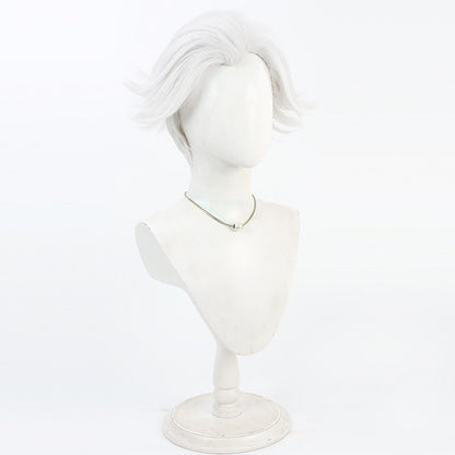 Nice Cosplay Wigs Anime To Be Hero X Silver Wigs