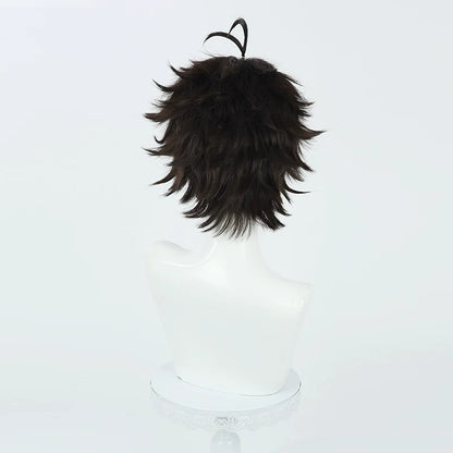 Oikawa Tooru Cosplay Wigs Anime Haikyu!! Brown Wigs