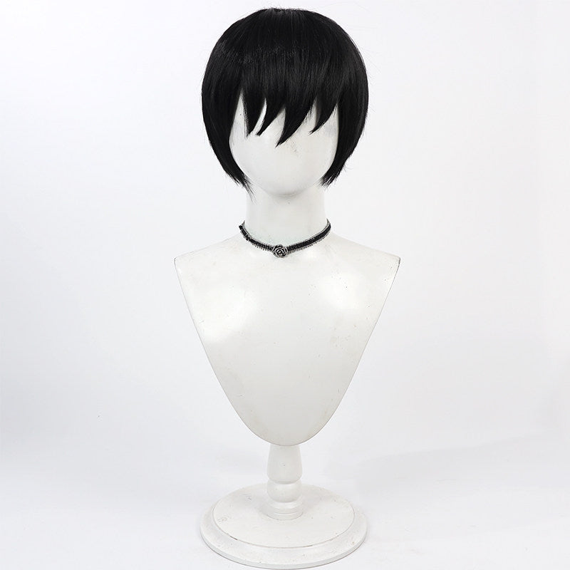 Ranma Saotome Anime Cosplay Wigs Ranma ½