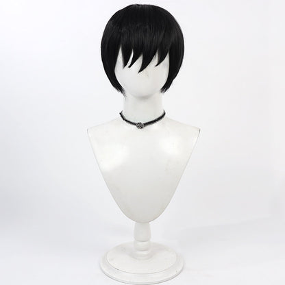 Ranma Saotome Anime Cosplay Wigs Ranma ½