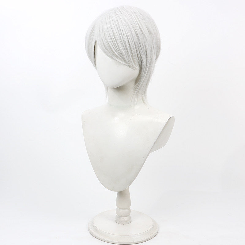 Robin Cosplay Wigs Fire Emblem: Awakening White Wigs