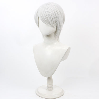 Robin Cosplay Wigs Fire Emblem: Awakening White Wigs