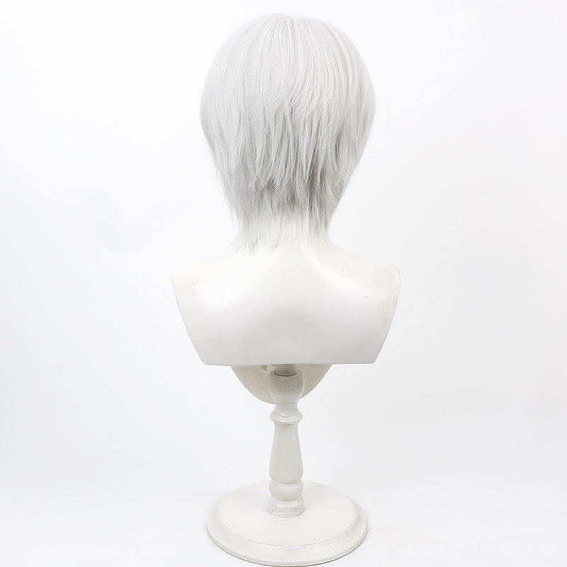 Robin Cosplay Wigs Fire Emblem: Awakening White Wigs