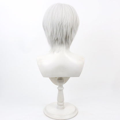Robin Cosplay Wigs Fire Emblem: Awakening White Wigs