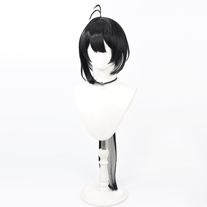 Rover Cosplay Wigs Wuthering Waves Black Wigs