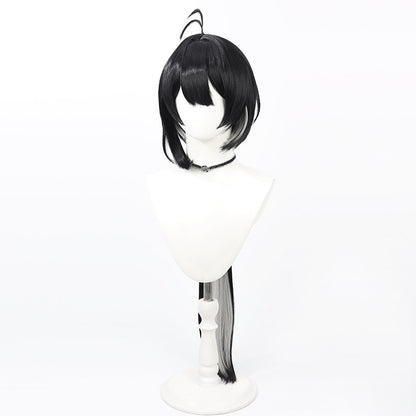 Rover Cosplay Wigs Wuthering Waves Black Wigs