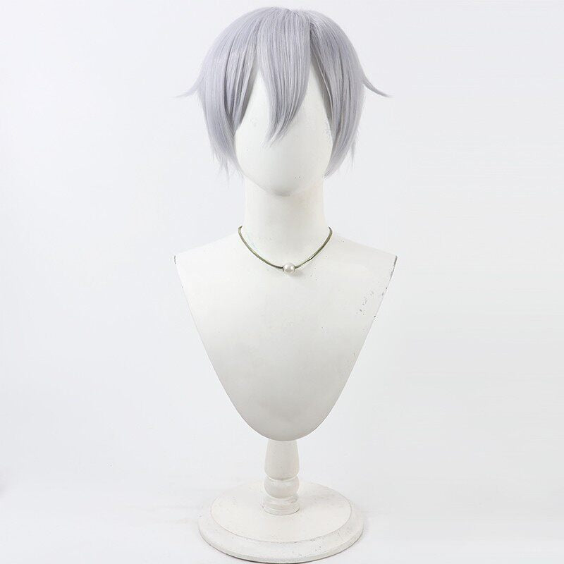 Silver Vanrouge Cosplay Wigs Disney Twisted-Wonderland Diasomnia Dorm Light Blue Wigs